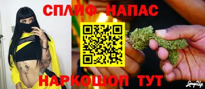 индика Нальчик